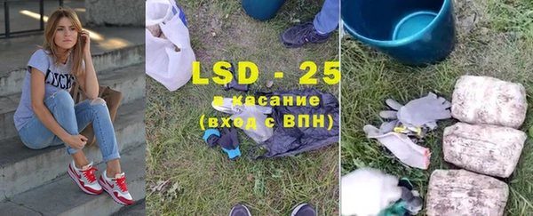 ПСИЛОЦИБИНОВЫЕ ГРИБЫ Зеленодольск