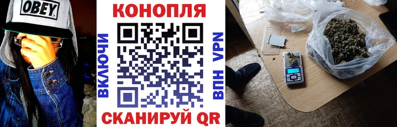 Марихуана план  Бавлы 